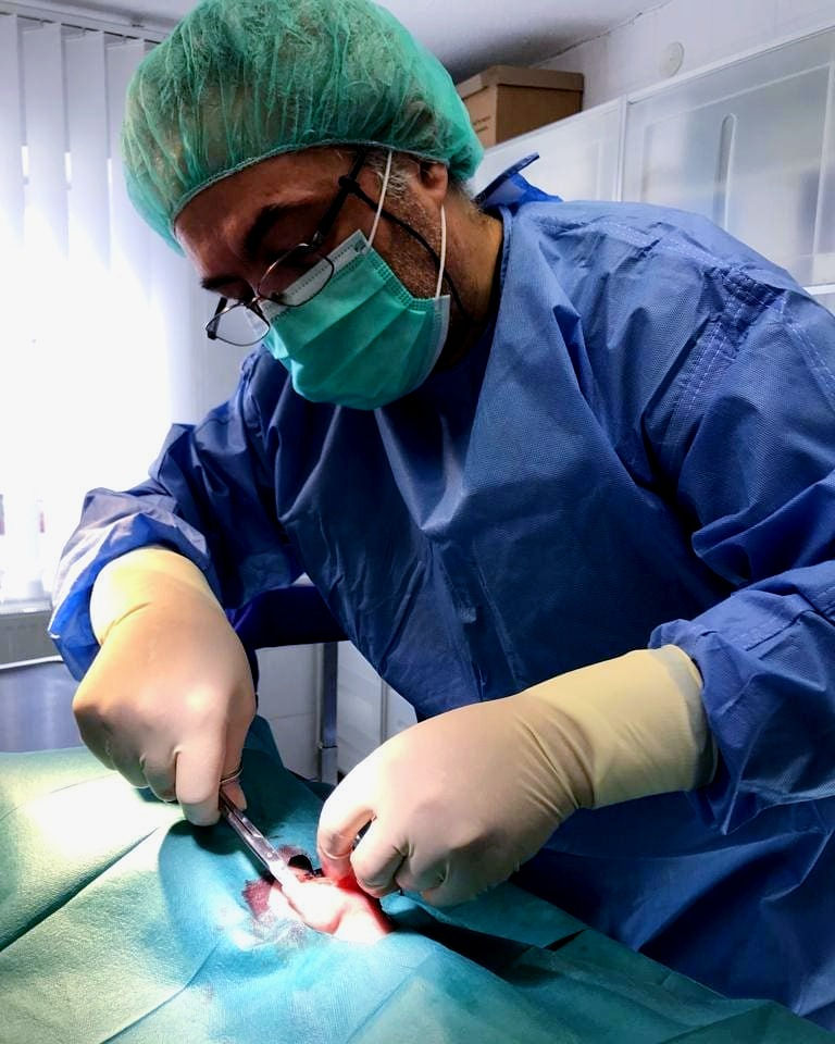 Tierarzt Erhan Adigüzel bei einer Operation