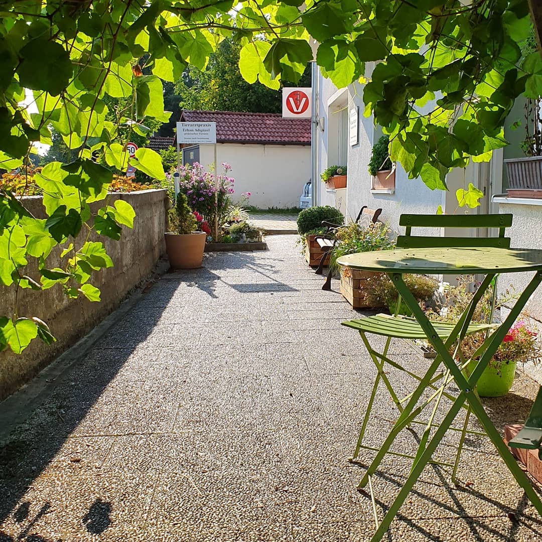 Weg zur Tierarztpraxis mit Weinlaub, Blumen und grüner Sitzgruppe